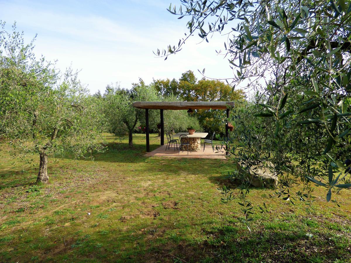 Agriturismo Montemari Villa Palaia Exterior photo